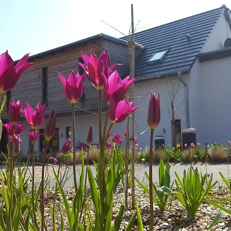 Kunst Frahm Guest house 4*