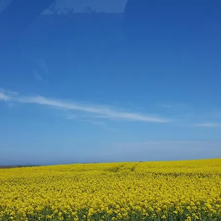 Konukevi Kunst Frahm Basthorst (Mecklenburg-Vorpommern)