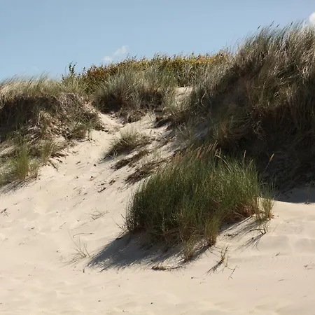 Konukevi Kunst Frahm